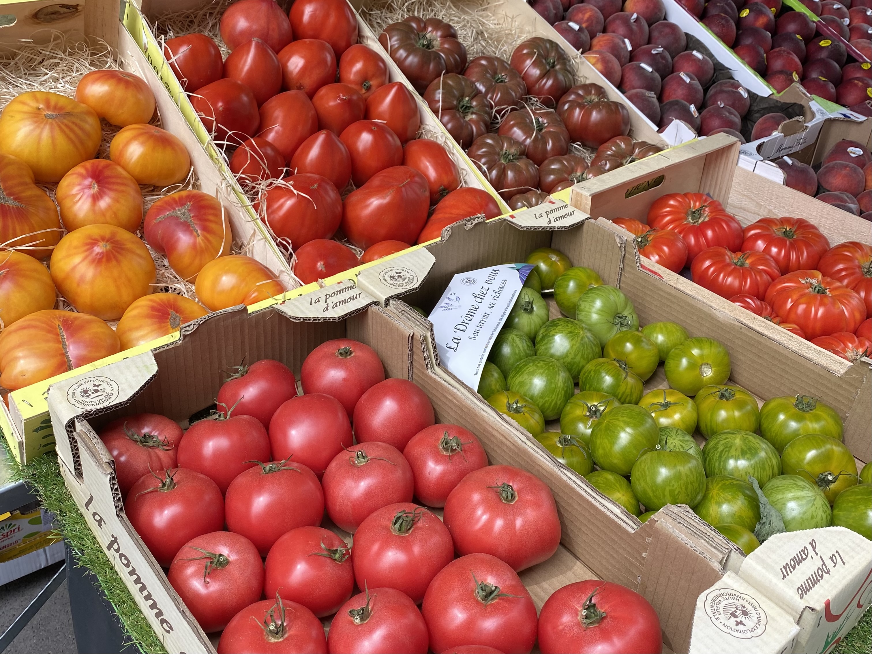 Tomatoes from a Marseille market